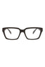 21181 - Brown Brown Transparent
