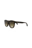 20355 - Havana Havana Brown
