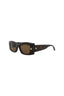 20355 - Havana Havana Brown