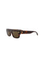 20355 - Havana Havana Brown