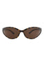20355 - Havana Havana Brown