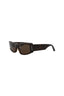 20355 - Havana Havana Brown