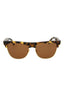 20355 - Havana Havana Brown