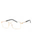 C03 - Shiny Gold/Silver / Clear Lens