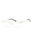 C01 - Shiny Gold / Clear Lens