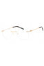 C01 - Shiny Gold / Clear Lens