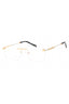 C03 - Shiny Gold/Silver / Clear Lens