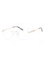 C02 - Shiny Argent/Gold / Clear Lens