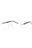 C02 - Shiny Silver/Grey Horn / Clear Lens