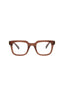 21181 - Brown Brown Transparent