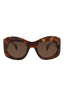 20355 - Havana Havana Brown