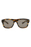 20355 - Havana Havana Brown