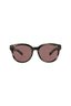 20355 - Havana Havana Brown