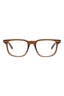21181 - Brown Brown Transparent
