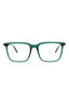 30016 - Green Green Transparent