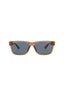 21209 - Brown Brown Blue