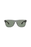 01141 - Grey Ruthenium Green