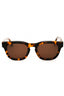 6064 - Havana / Brown