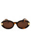 6064 - Havana Brown / Brown