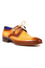 CAMEL/BROWN