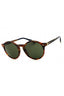 562571 - Bright Brown Tortoise/Green