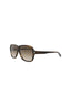 20355 - Havana Havana Brown