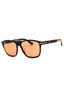 05E - Black/other /brown