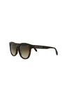 20355 - Havana Havana Brown