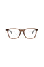20976 - Brown Silver Transparent