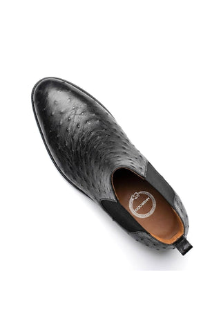 Ambrogio Anthony Ostrich Skin Chelsea Boot-AmbrogioShoes