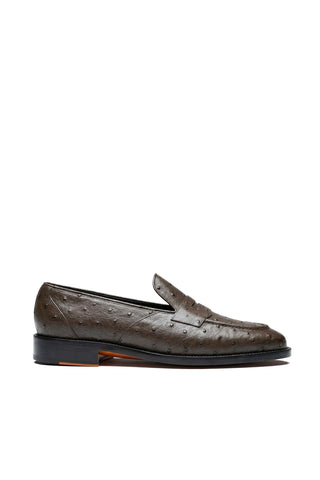 Ambrogio Cesare Ostrich Skin Penny Loafer-AmbrogioShoes