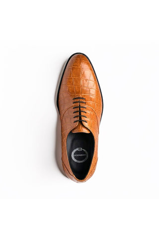 Ambrogio "Cyrus" Alligator Oxford-AmbrogioShoes
