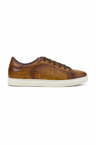 Ambrogio Leather Sneaker