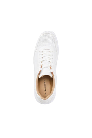 Andre Assous Andrew Leather Sneaker