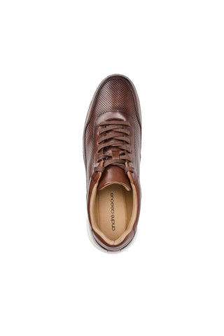 Andre Assous Andrew Leather Sneaker