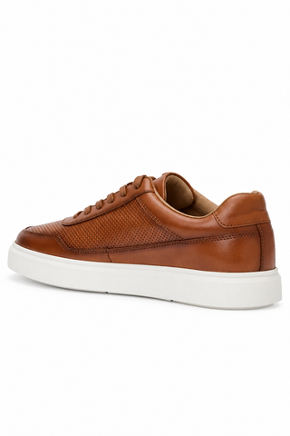 Andre Assous Andrew Leather Sneaker