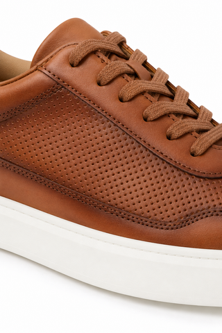 Andre Assous Andrew Leather Sneaker