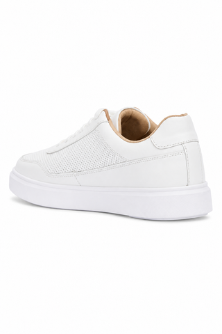 Andre Assous Andrew Leather Sneaker