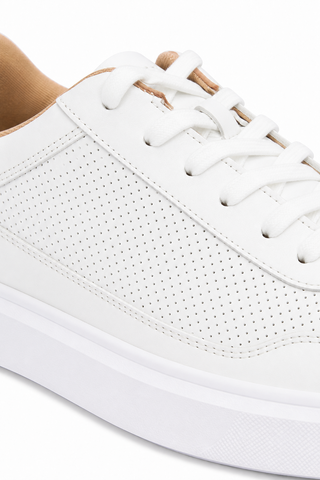 Andre Assous Andrew Leather Sneaker