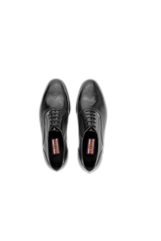 Artioli Ascanio Leather Oxford (ART1189)-AmbrogioShoes