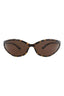 20355 - Havana Havana Brown
