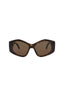 20355 - Havana Havana Brown