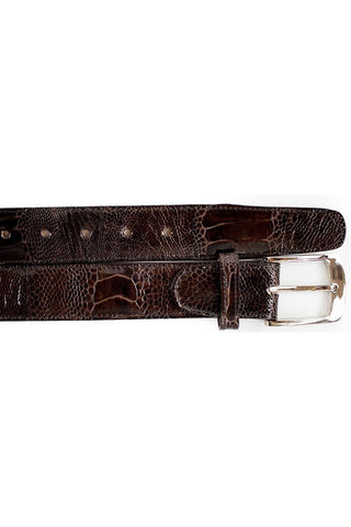Belvedere 2000 Men's Ostrich Skin Belt (BVB2729)-AmbrogioShoes
