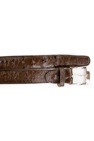 Belvedere 2001 Men's Ostrich Skin Belt (BVB2735)-AmbrogioShoes