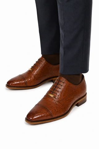 Belvedere Mauro Ostrich Oxford (175-178)-AmbrogioShoes