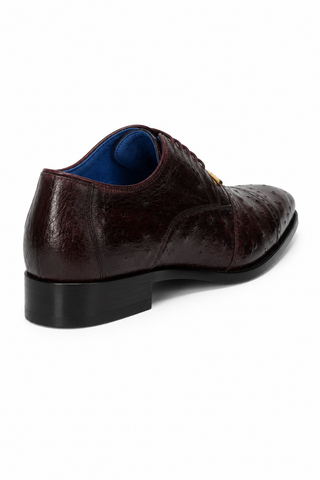 Belvedere Mauro Ostrich Oxford (175-178)-AmbrogioShoes