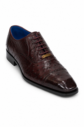 Belvedere Mauro Ostrich Oxford (175-178)-AmbrogioShoes