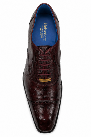 Belvedere Mauro Ostrich Oxford (175-178)-AmbrogioShoes