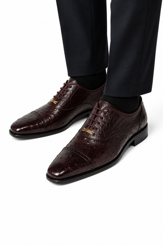 Belvedere Mauro Ostrich Oxford (175-178)-AmbrogioShoes