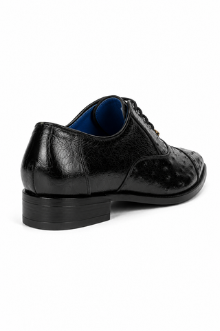 Belvedere Mauro Ostrich Oxford (175-178)-AmbrogioShoes